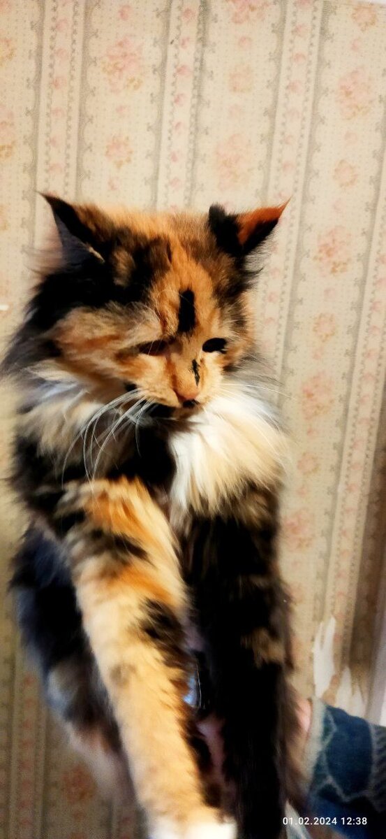 Позируем на камеру