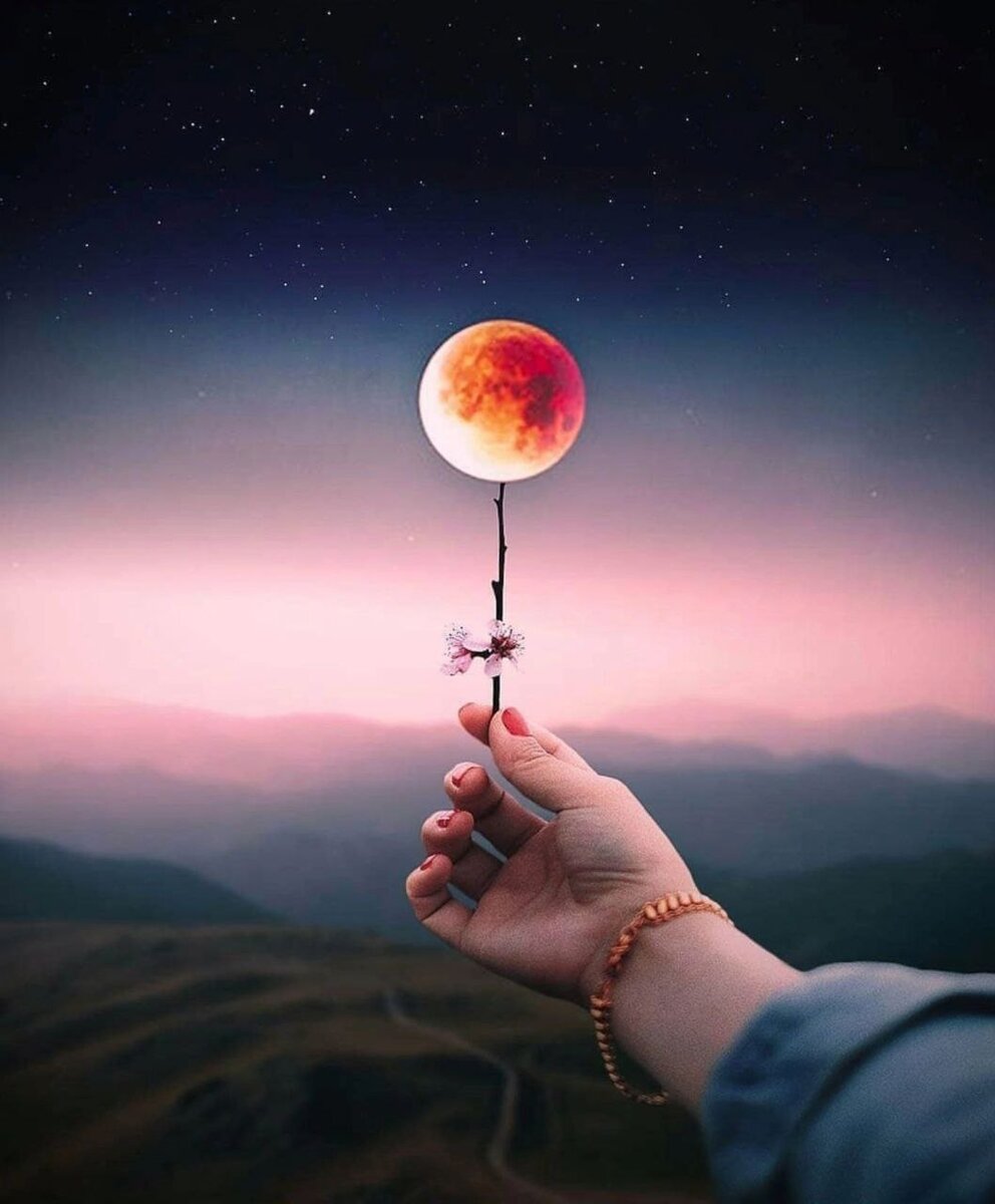 ✅Следите за своими мыслями — они становятся словами.✅Следите за своими словами — они становятся действиями.✅Следите за своими действиями — они становятся привычками.✅Следите за своими привычками — они становятся характером.✅Следите за своим характером - он определяет ваш жизненный путь.