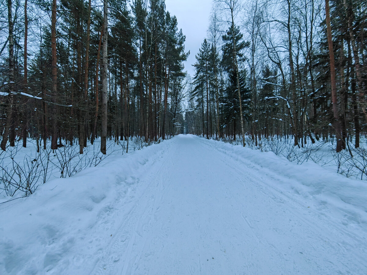 Москва просека 5