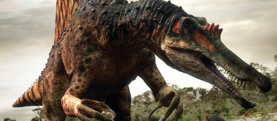 Спинозавр. Фото из свободных источников