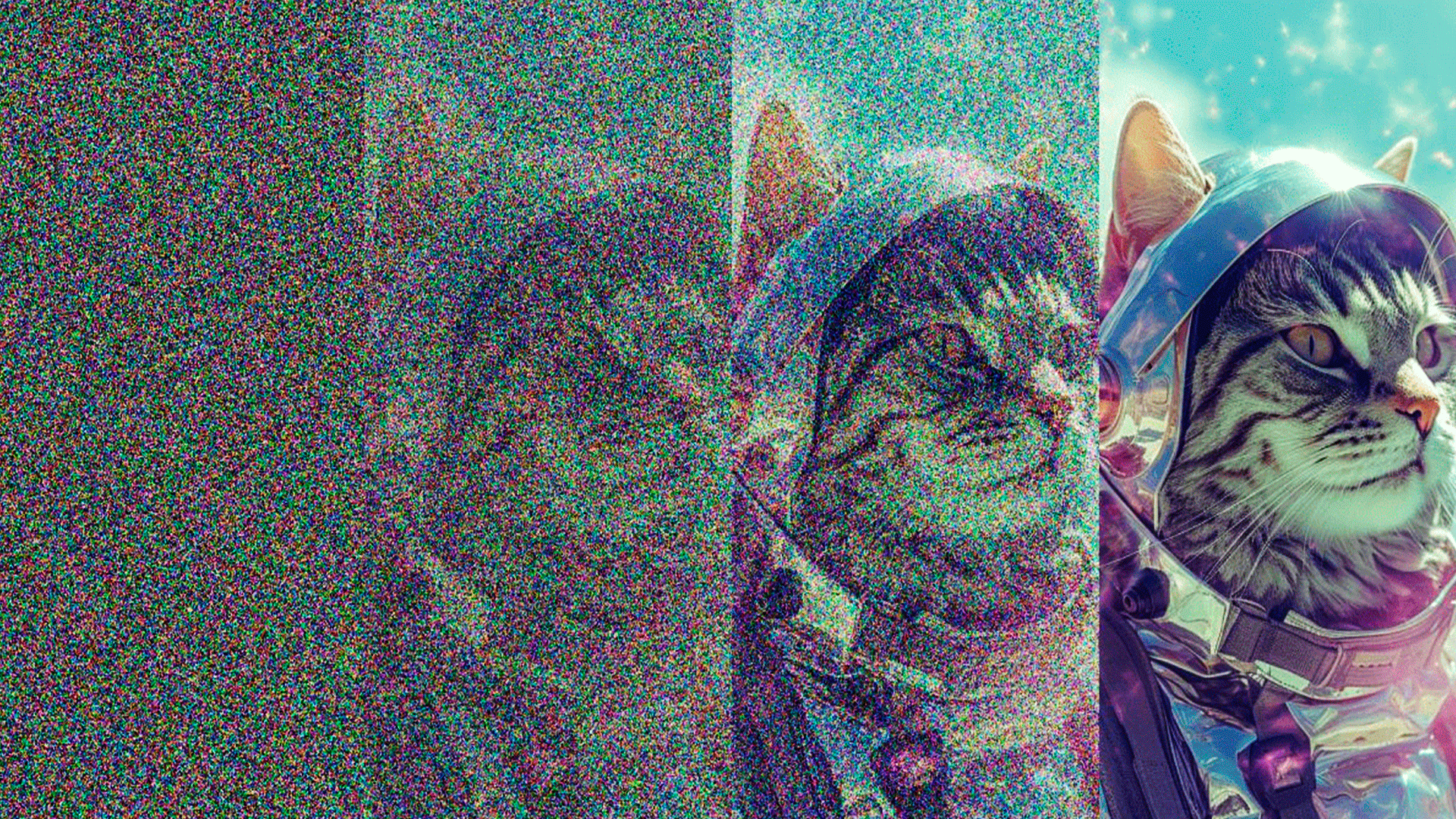 диффузионная модель на примере картинки с котиком