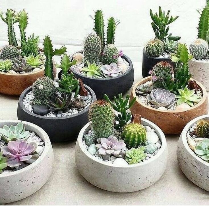 Флорариумы