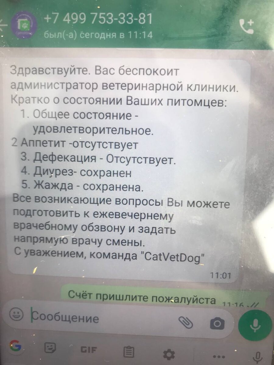 Тюбик ищет дом⚡️. По Москве и МО доставим прямо домой🙏❤️ | Остров надежды  | Дзен