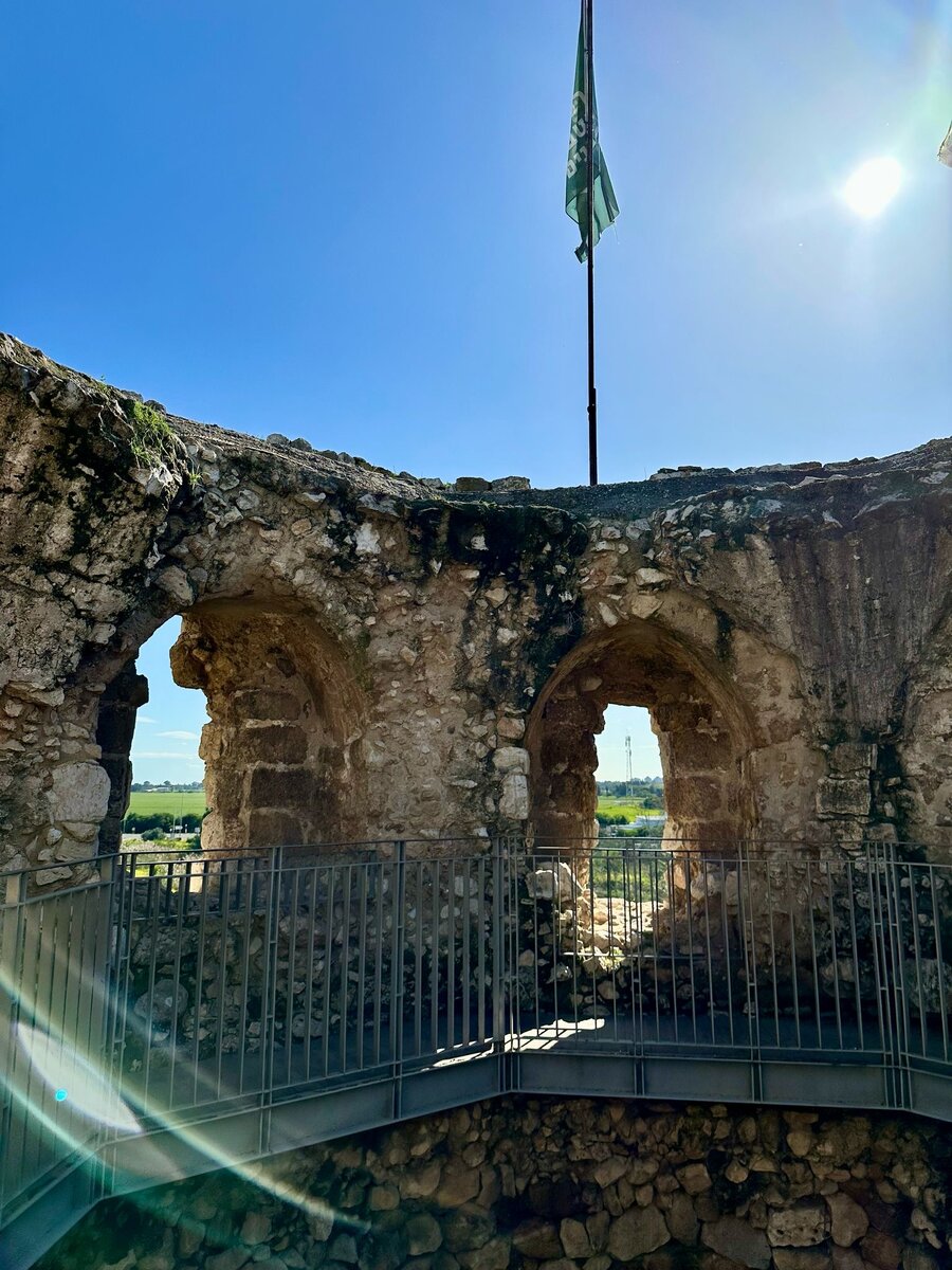 Личная фотография 