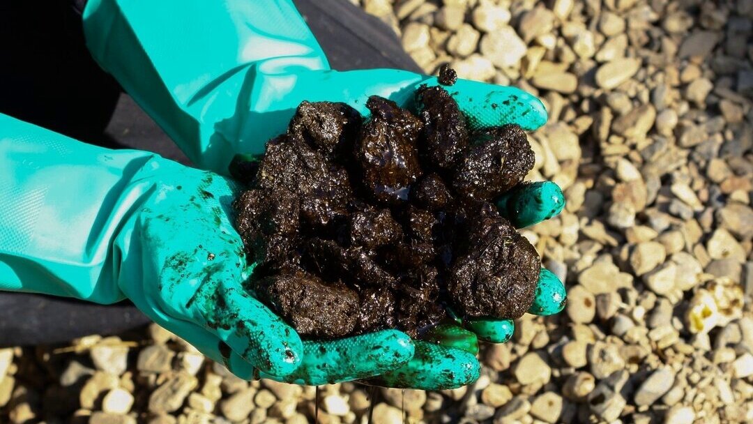 Природный битум — это продукт выветривания нефти/ © ppt-online.org