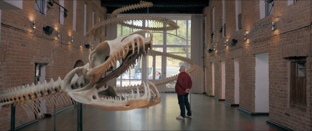    Режиссёр и змея. Кадр из фильма «Большие змеи Улли-Кале». Фото: Предоставлено героем публикации