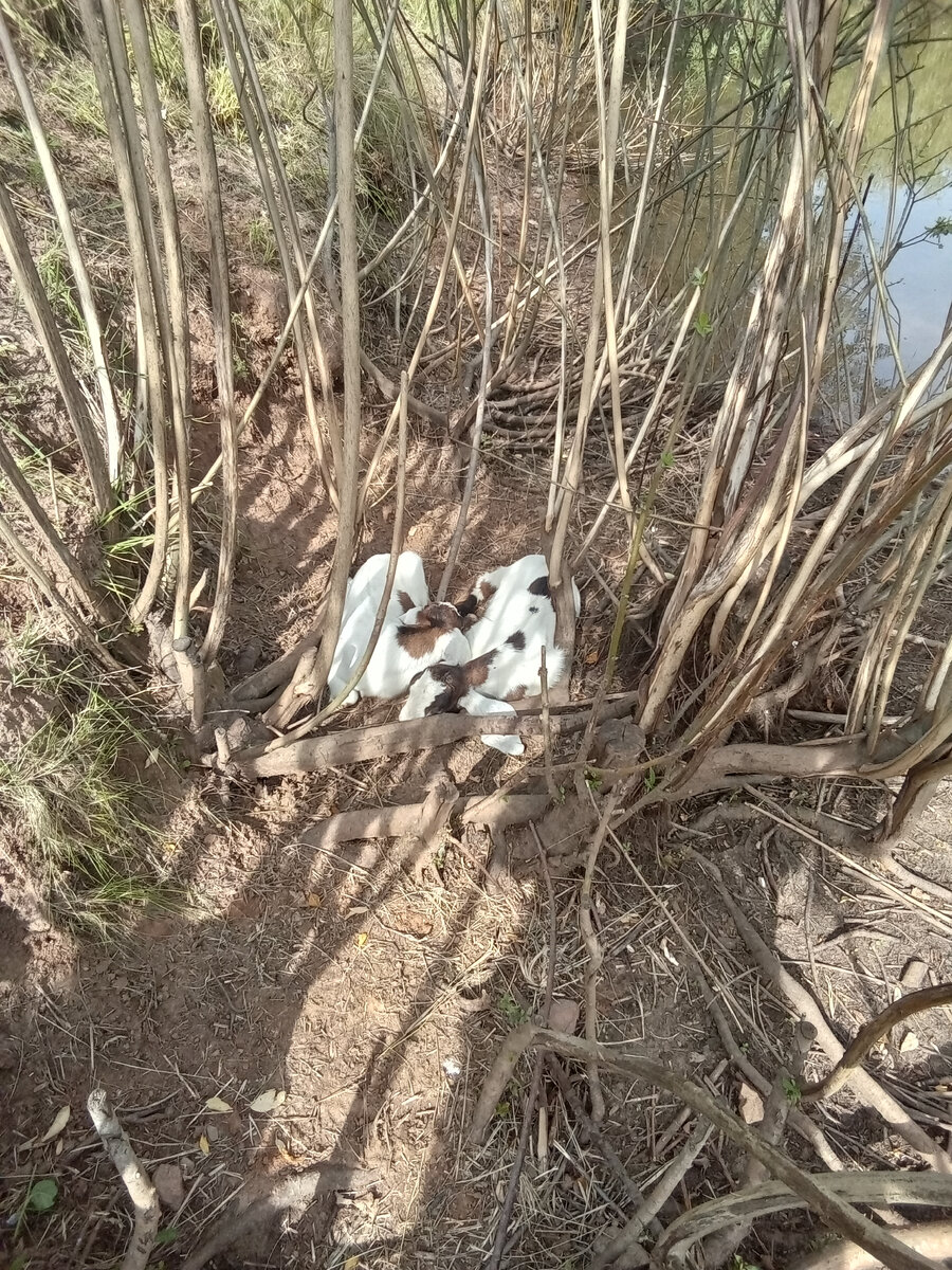 Фото автора. 