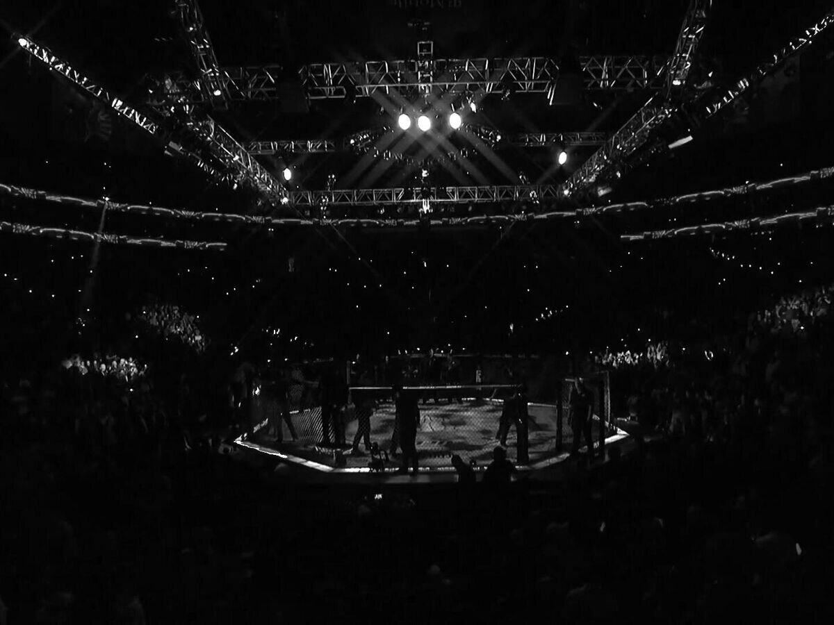    Октагон UFC© UFC
