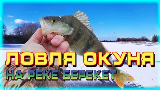 РЫБАЛКА В АСТРАХАНИ. Зимняя рыбалка. Ловля окуня на реке Берекет