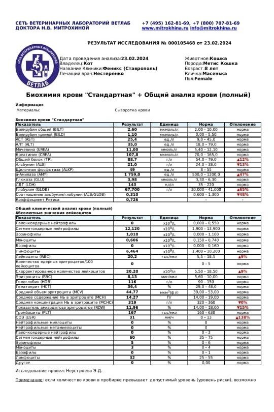 Военные цитаты. Было с каждым 1 раз. Было с каждым 1 раз. Позвони мне цитаты. Каждый должен прожить свою жизнь цитаты.
