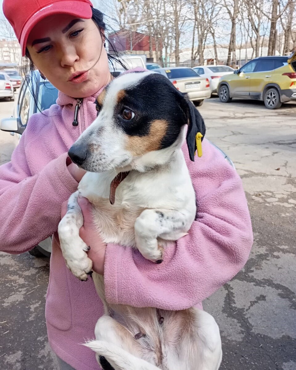 Доброе утро природа. Солнечного летнего утра. Хорошего дня город. Доброго летнего утра и хорошего дня. Хорошего вторника.