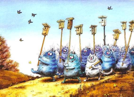 Источник изображения ; vk.com›rinazeniuk   и  id416901608