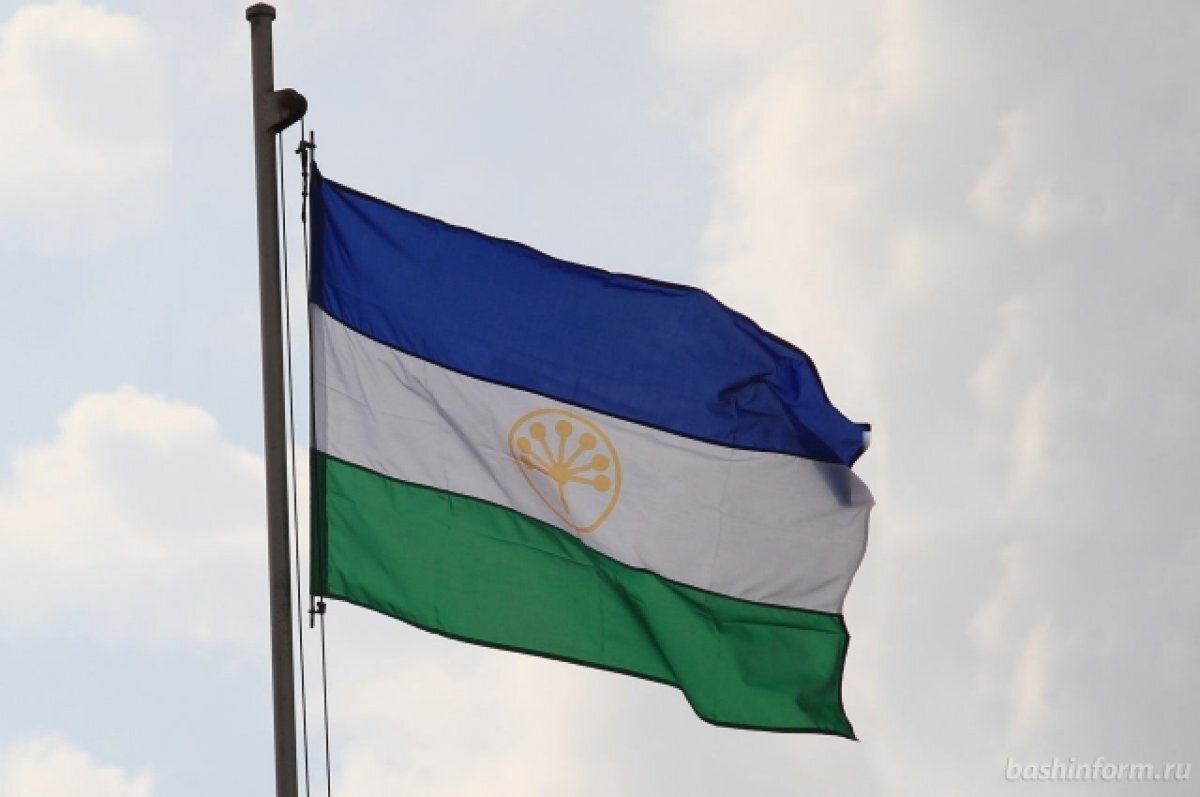    В Башкирии отмечается День государственного флага