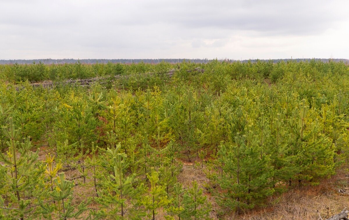 Фото: © Татьяна Хакимулина