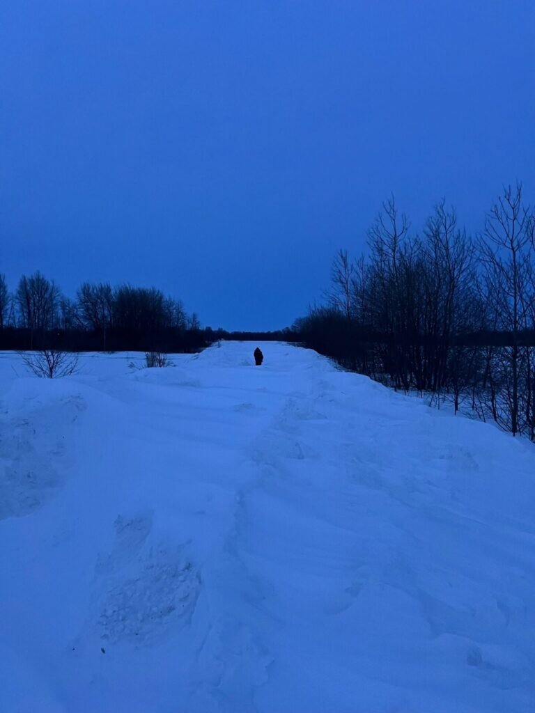    В Рязанской области люди неделю сидят без продуктов из-за нечищеной дороги7info.ru