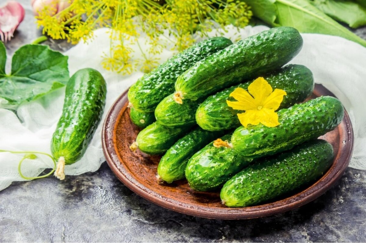 Хрустящие огурчики для солений и консервации