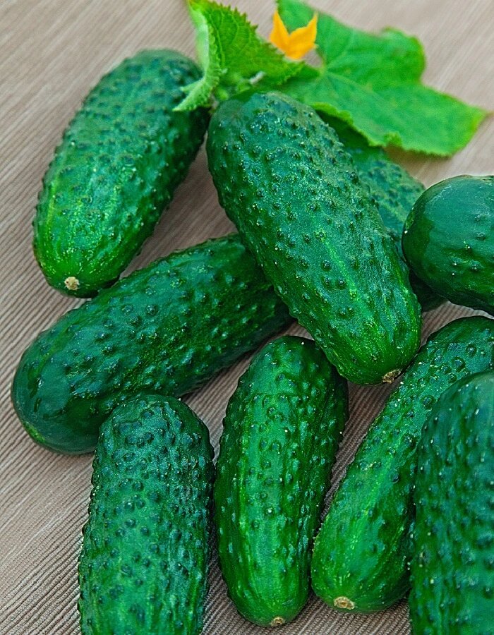 Огурцы магазинные. Огурчики в тарелке. Огурцы свежие. Водяной огурец. Огурцы.