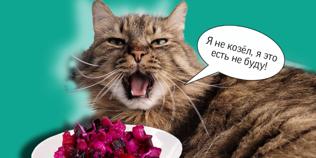 Как на русский язык переводится слово «винегрет»? Вряд ли догадаетесь, хотя ответ на поверхности