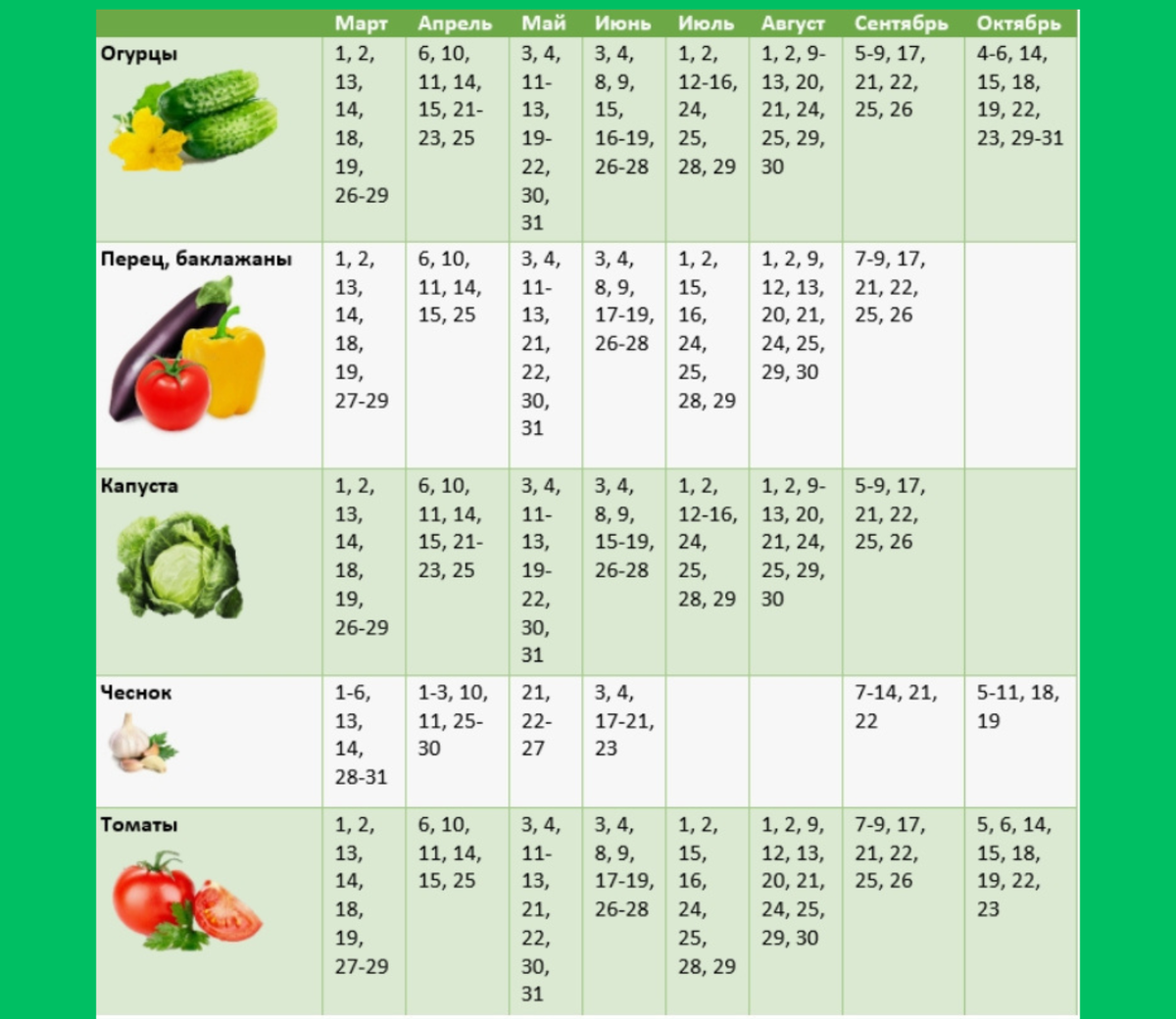 Календарь посадок цветов на 2024 год