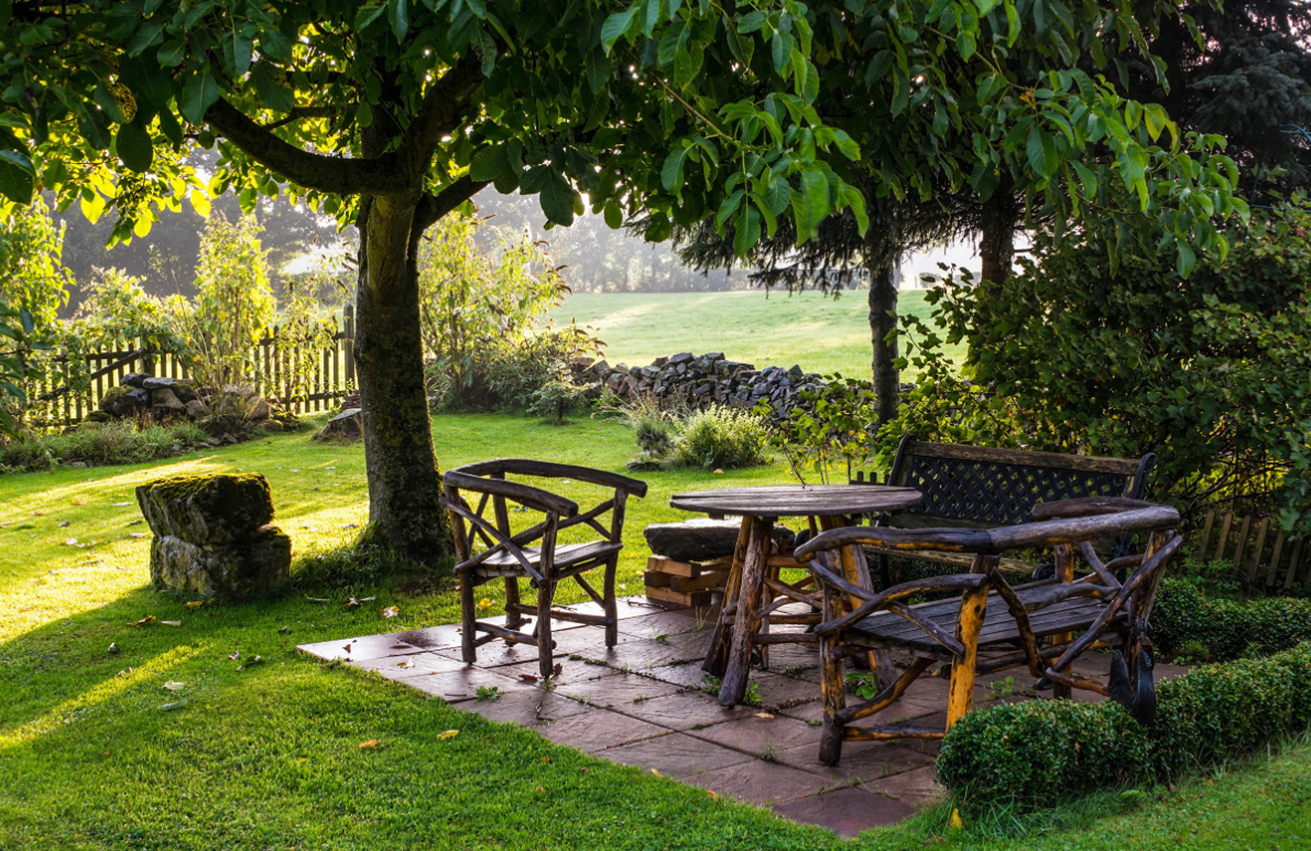 Яндекс картинки