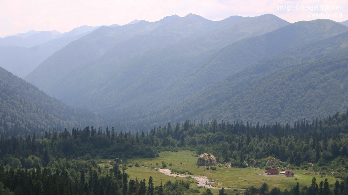 Общий вид поляны, где располагается приют. Видны скальные головы и останцы, торчащие из земли. 3 фото.
