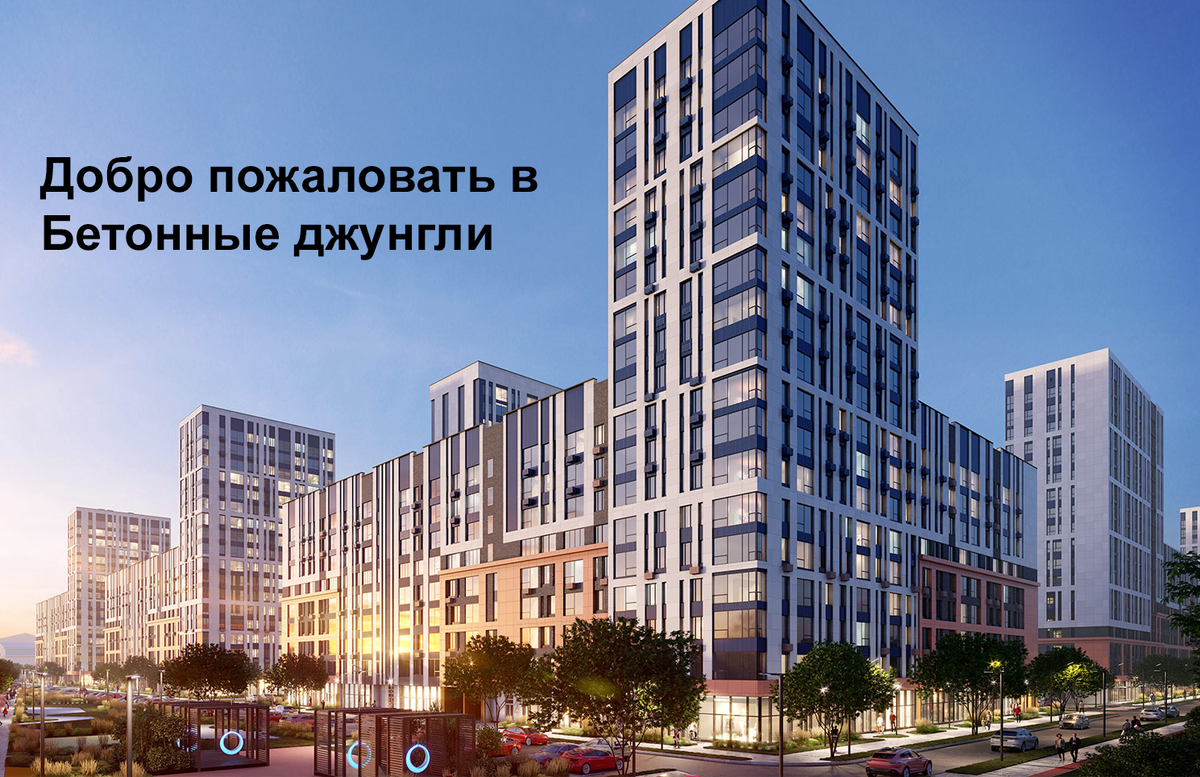   Приветствую вас на канале о строительстве, недвижимости и инвестициях в недвижимость! 
  Меня зовут Виталий, и я являюсь экспертом в области недвижимости с многолетним опытом работы. На этом канале я буду делиться с вами своими знаниями и опытом, а также рассказывать о последних тенденциях в сфере строительства и недвижимости.

  О чем этот канал?

  На этом канале вы найдете:

  Статьи о строительстве и ремонте, в которых я расскажу вам о том, как построить дом или отремонтировать квартиру своими руками, а также о том, как выбрать надежную строительную компанию.
Обзоры новостроек и вторичного жилья, в которых я расскажу вам о плюсах и минусах разных жилых комплексов и районов, а также о том, на что обратить внимание при покупке квартиры.
Инвестиционные стратегии в сфере недвижимости, которые помогут вам заработать на покупке, продаже и аренде недвижимости.
Интервью с экспертами в области строительства и недвижимости, в которых вы узнаете о последних тенденциях в этой сфере, а также о том, как добиться успеха в строительном бизнесе или в инвестициях в недвижимость.
 Для кого этот канал?

  Этот канал будет полезен всем, кто интересуется строительством, недвижимостью и инвестициями в недвижимость. Если вы планируете построить дом или отремонтировать квартиру, купить или продать квартиру, или инвестировать в недвижимость, то этот канал для вас.

  Подписывайтесь на канал и следите за новыми публикациями!

  Я буду рад поделиться с вами своими знаниями и опытом, а также ответить на ваши вопросы.

  Добро пожаловать в Бетонные джунгли!