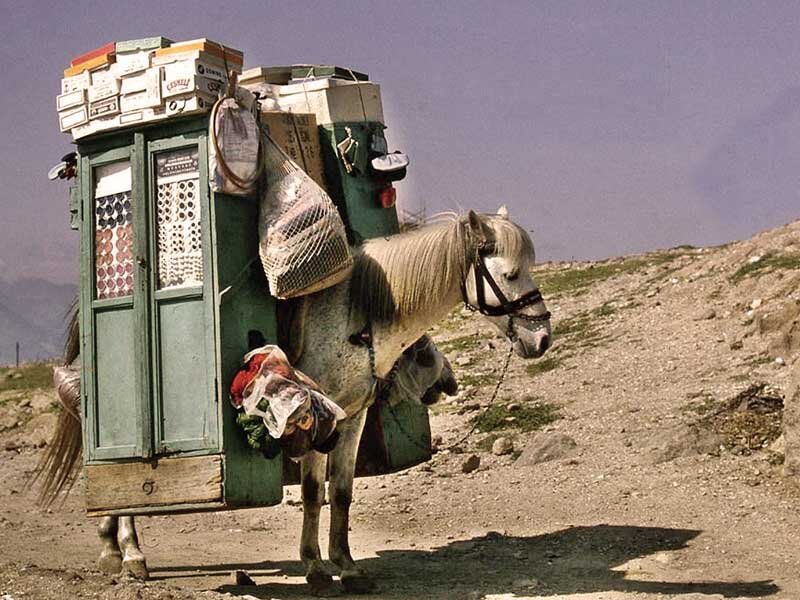 Фото взято из https://bisorubicevap.com/bi-n/ne-demektir?start=81