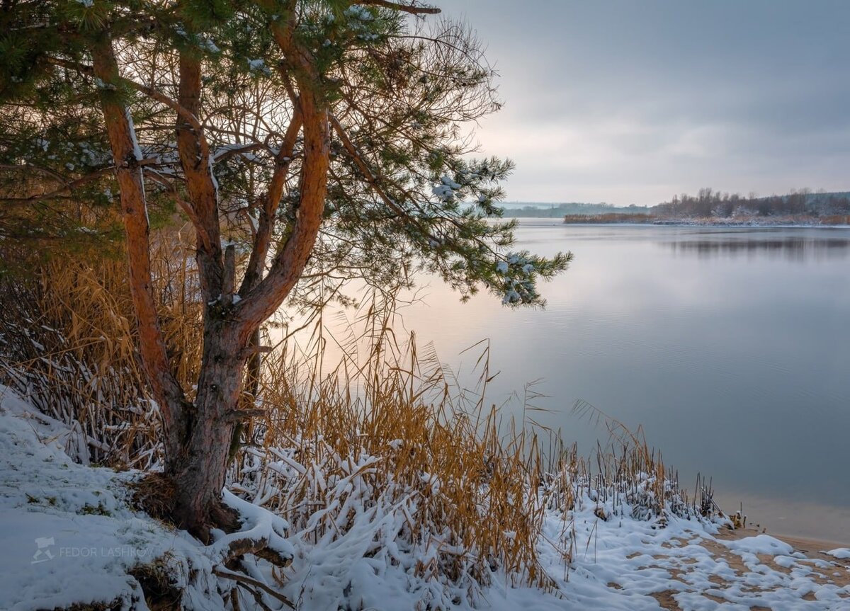 Фото из интернета