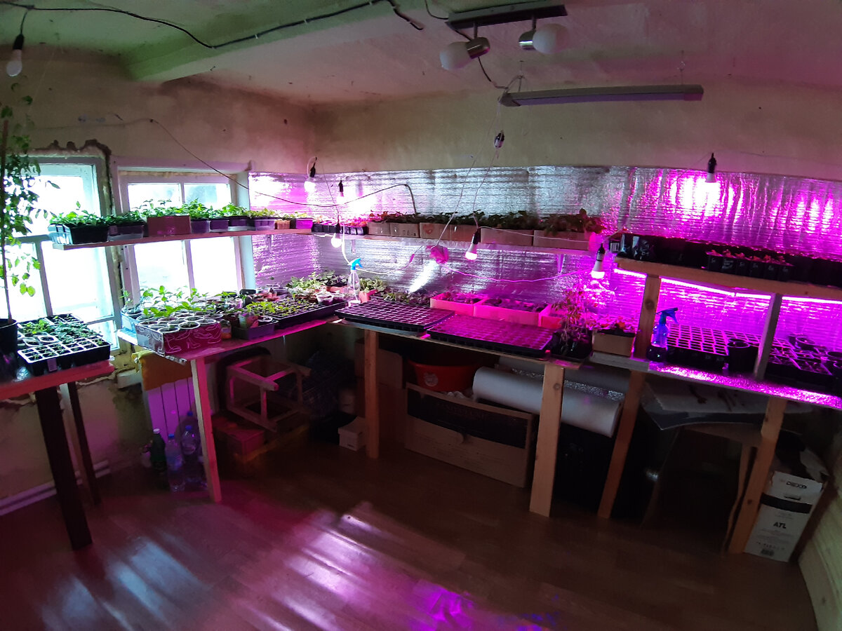 Мы называли это наше место - Рассадная комната.. Место нашей медитации