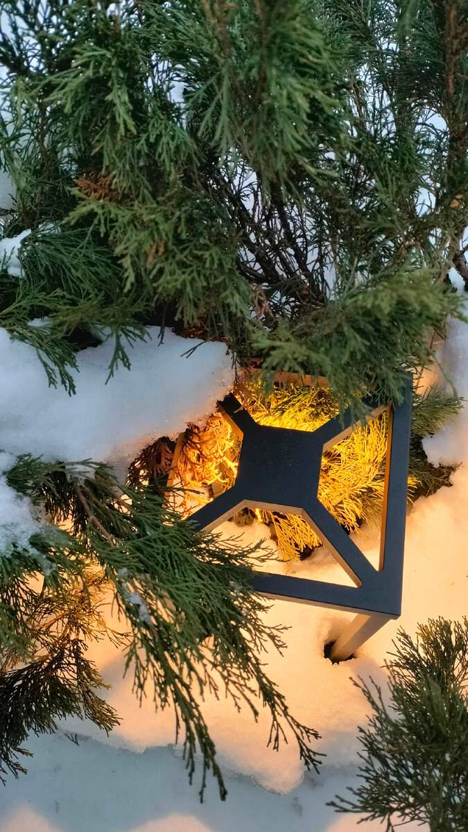 Если не торопиться, то можно увидеть волшебство. Фото автора.