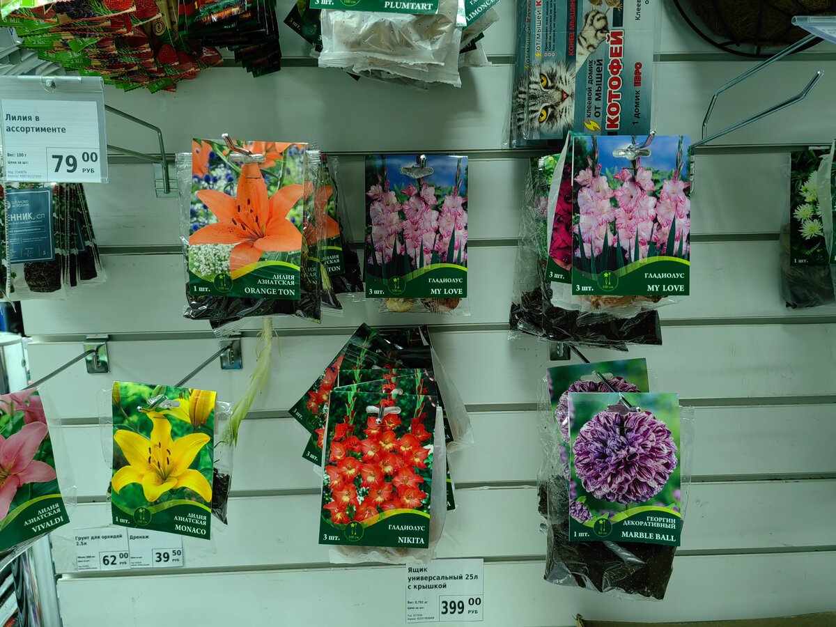 Лилии и гладиолусы в Фикс-Прайсе в одном из магазинов Фикспрайса