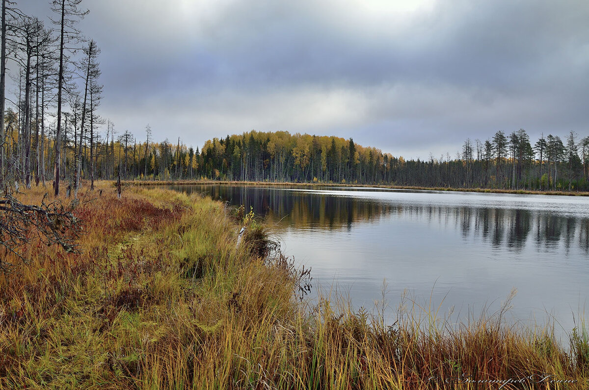 60.369180, 35.965471 - озеро Окуньозеро