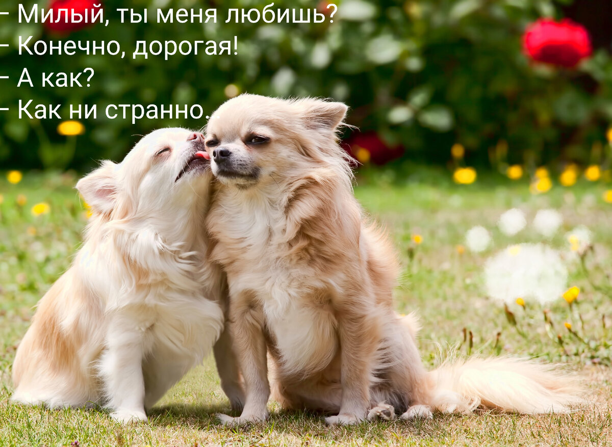 Фото из интернета в обработке автора