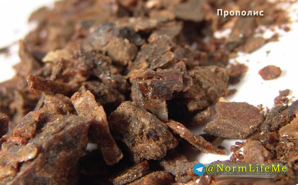 прополис
