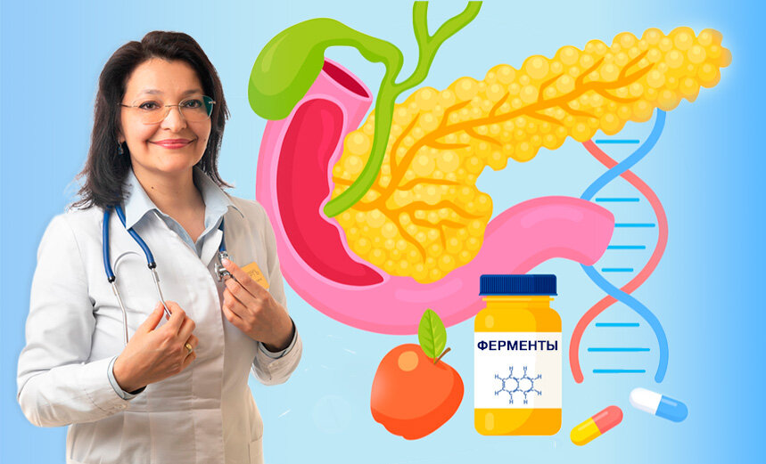 Как работают ферменты поджелудочной железы?