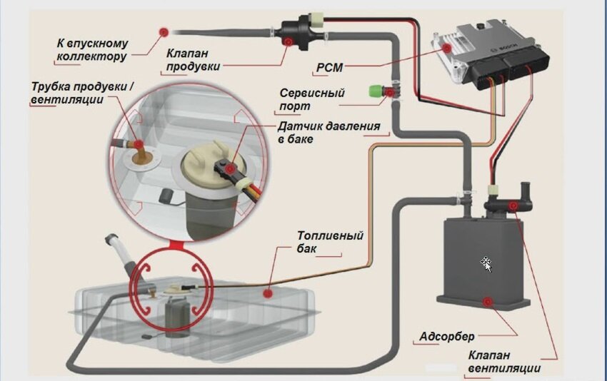 EVAP и её основные компоненты.