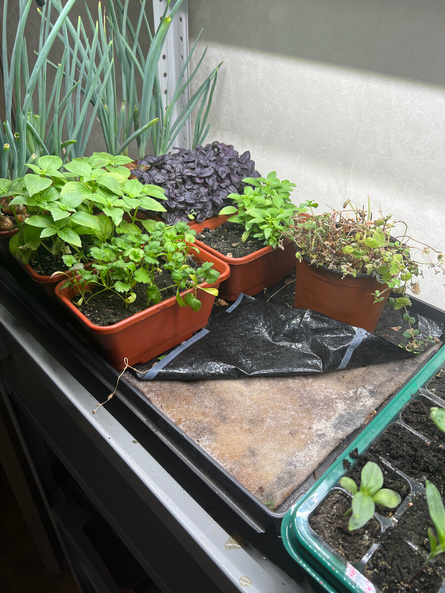 Мат под стаканчики.