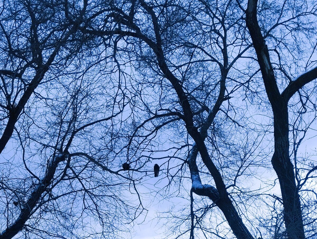 Фото автора канала "Мама Лора"
            