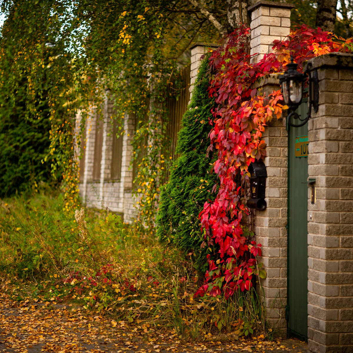 9 8 5 4 1. 1. Холодильник toshiba gr-rt565rs(ls). 4 8 2. (1/2+1/4-2/5):4/5 ответ.