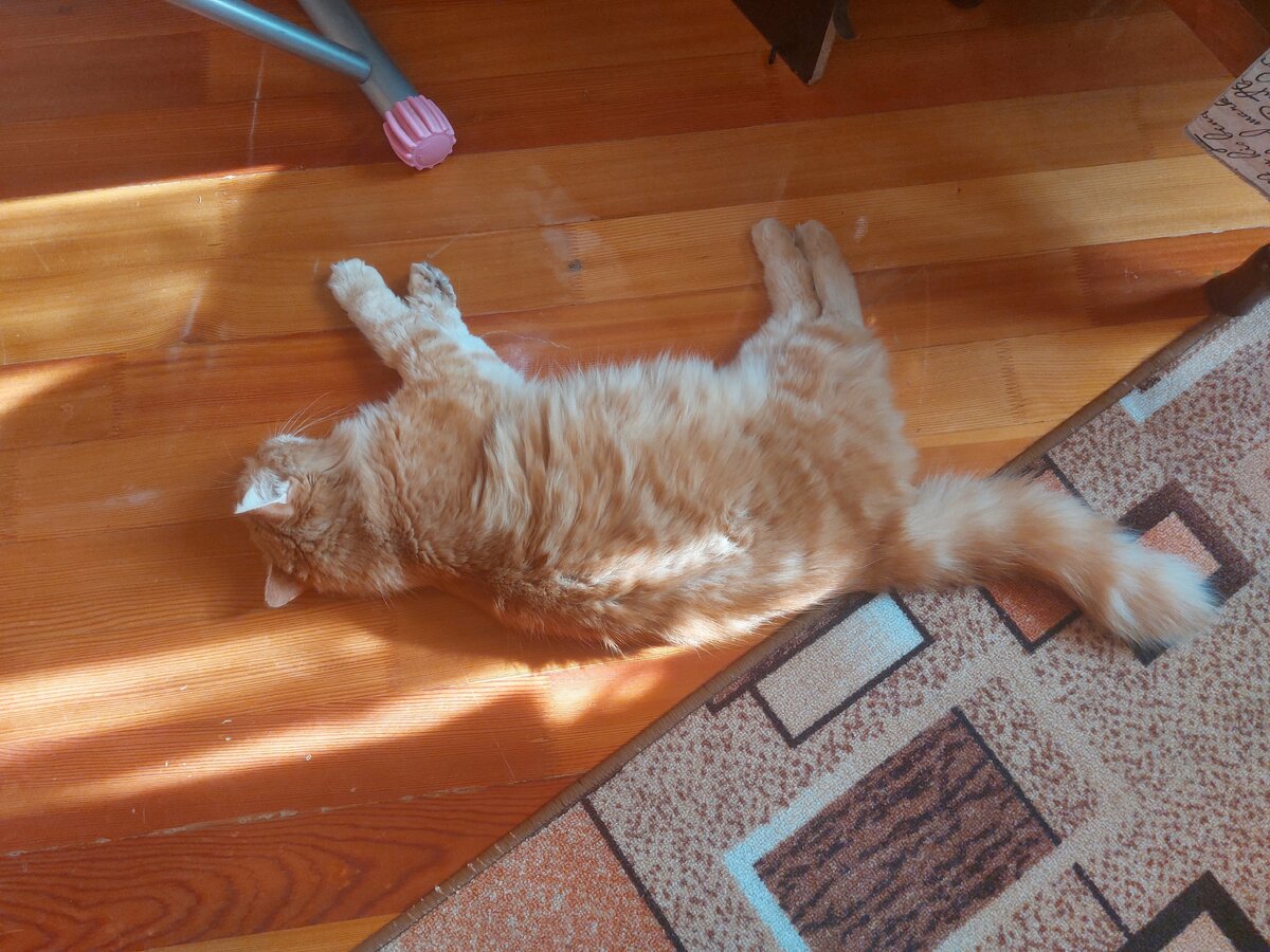 гости приехали. дети и еда приколы. я приехала в гости к бабушке. смешная выпечка. открытки внуки приехали прикольные.