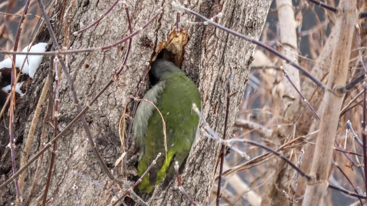 Усадьбы в скайриме на карте. Река экс assassin s creed valhalla. Где найти домашнее. Где найти домашнее. Ведьмак 3 места силы белый сад.