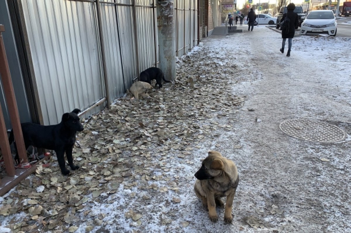    Люди боятся выходить во дворы.