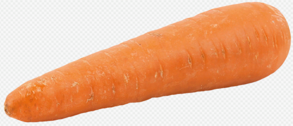 Сорт моркови сладость. Какая морковь самая сладкая. Гавриш морковь курода шантанэ. Морковь мандарин f1. Сасамып лучшип сорта моркови.