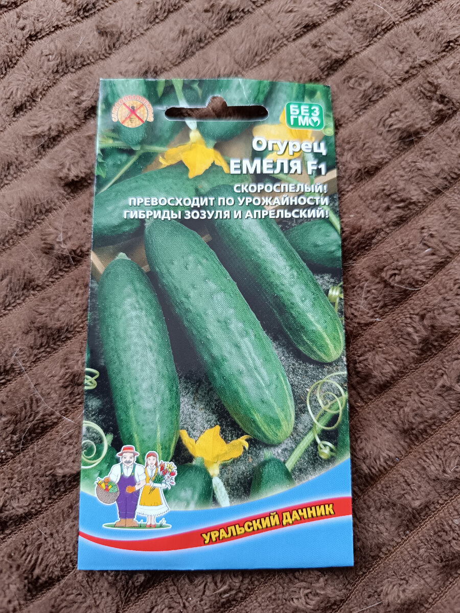 Семена огурцов