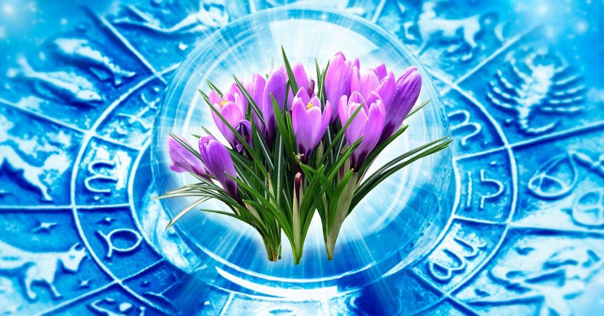 гороскоп на сегодня. гороскоп василисы володиной близнецы. гороскоп близнецы на год. гороскоп на год для близнецов. гороскоп на предстоящую неделю.