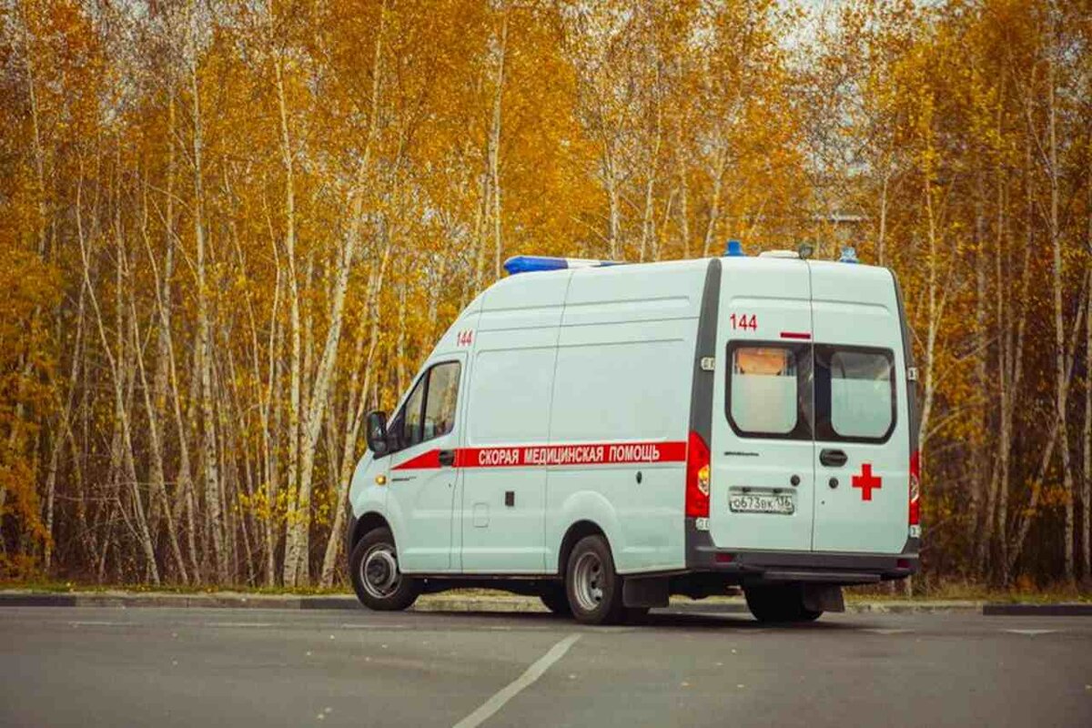 Пять собак напали на мужчину в Воронеже | Горком36 | Воронеж | Дзен