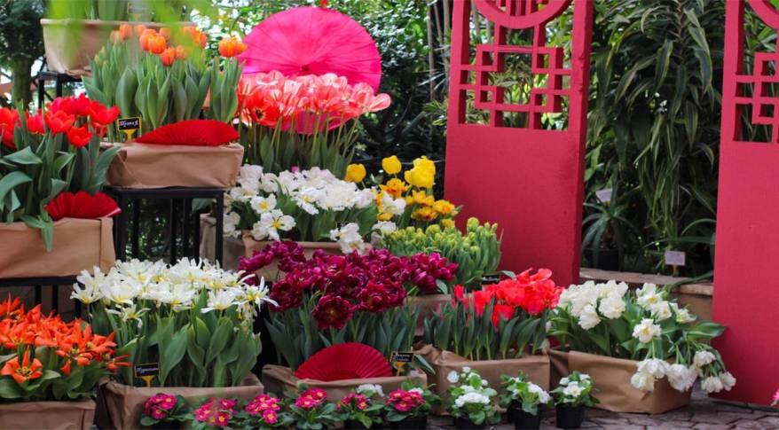 Ботанический сад ДВО РАН