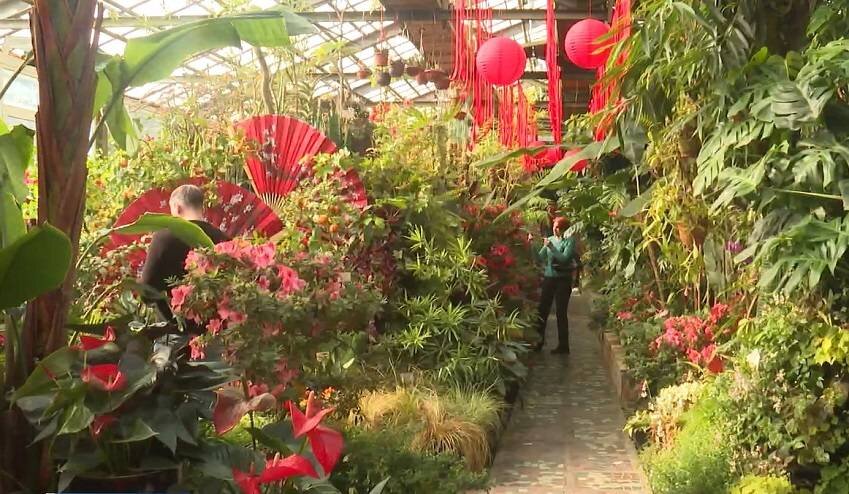 Ботанический сад ДВО РАН