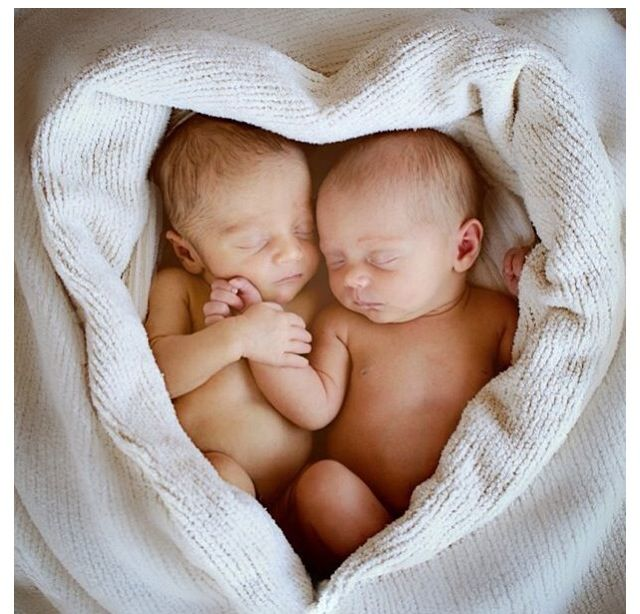 Яндекс картинки