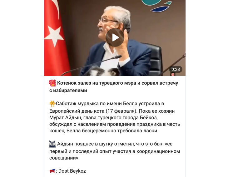 скрин автора
